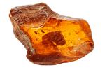 Amber – warm, resinous, and inviting